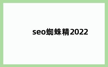 seo蜘蛛精2022