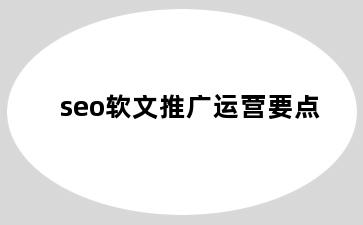 seo软文推广运营要点