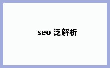 seo 泛解析