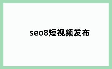 seo8短视频发布