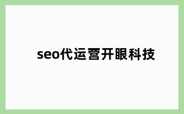 seo代运营开眼科技