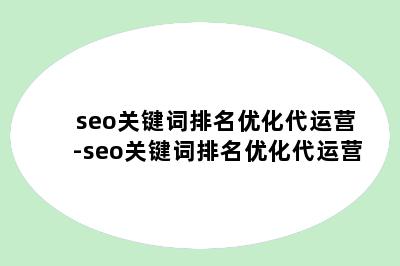 seo关键词排名优化代运营-seo关键词排名优化代运营