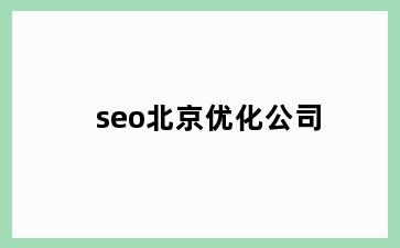 seo北京优化公司