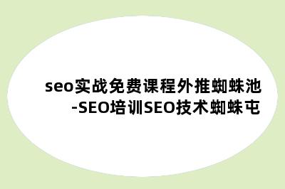 seo实战免费课程外推蜘蛛池-SEO培训SEO技术蜘蛛屯