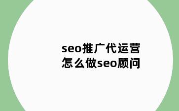 seo推广代运营怎么做seo顾问