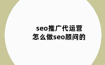 seo推广代运营怎么做seo顾问的