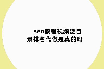 seo教程视频泛目录排名代做是真的吗