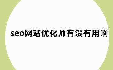 seo网站优化师有没有用啊