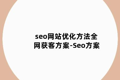 seo网站优化方法全网获客方案-Seo方案