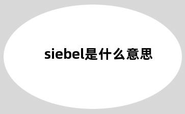 siebel是什么意思