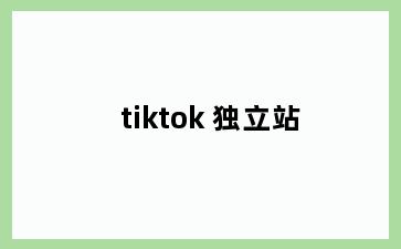 tiktok+独立站