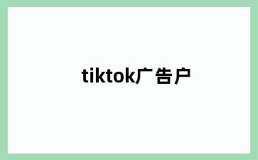 tiktok广告户