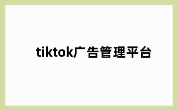 tiktok广告管理平台