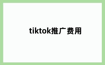 tiktok推广费用