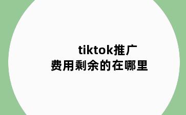 tiktok推广费用剩余的在哪里