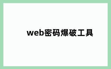 web密码爆破工具