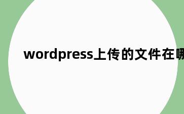 wordpress上传的文件在哪