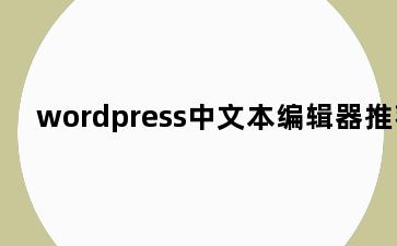 wordpress中文本编辑器推荐