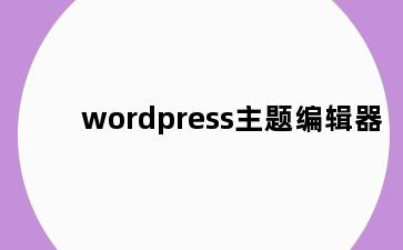 wordpress主题编辑器