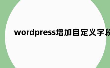 wordpress增加自定义字段