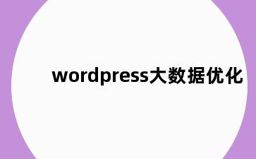 wordpress大数据优化