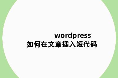 wordpress如何在文章插入短代码