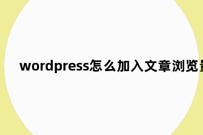 wordpress怎么加入文章浏览量