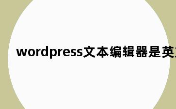 wordpress文本编辑器是英文