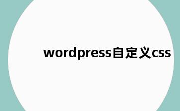 wordpress自定义css