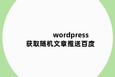 wordpress获取随机文章推送百度