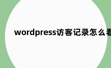 wordpress访客记录怎么看