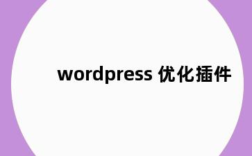 wordpress 优化插件