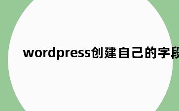 wordpress创建自己的字段