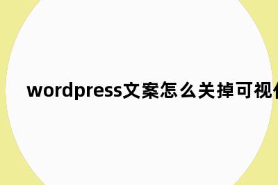 wordpress文案怎么关掉可视化