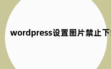 wordpress设置图片禁止下载