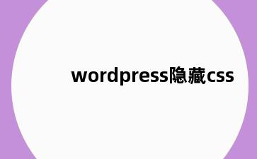 wordpress隐藏css