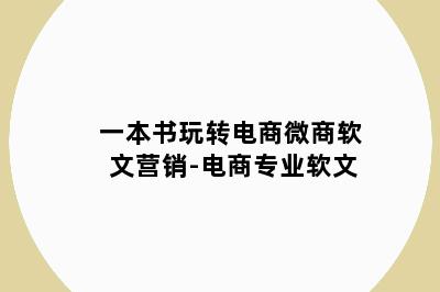 一本书玩转电商微商软文营销-电商专业软文