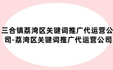 三合镇荔湾区关键词推广代运营公司-荔湾区关键词推广代运营公司有哪些