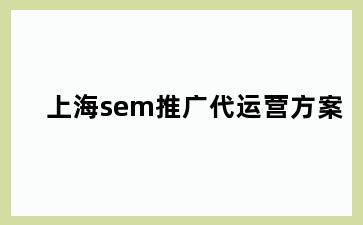 上海sem推广代运营方案