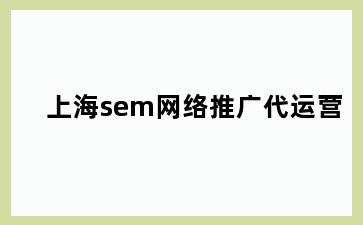 上海sem网络推广代运营