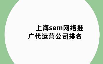 上海sem网络推广代运营公司排名