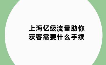 上海亿级流量助你获客需要什么手续