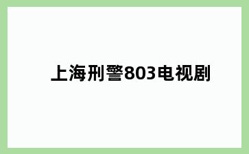 上海刑警803电视剧