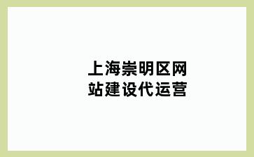 上海崇明区网站建设代运营