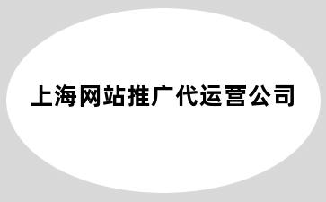 上海网站推广代运营公司