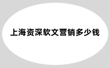 上海资深软文营销多少钱