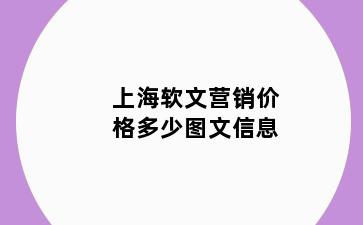 上海软文营销价格多少图文信息