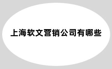 上海软文营销公司有哪些