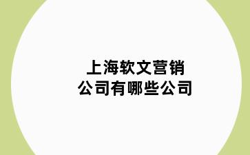 上海软文营销公司有哪些公司