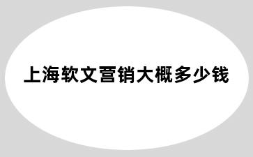 上海软文营销大概多少钱